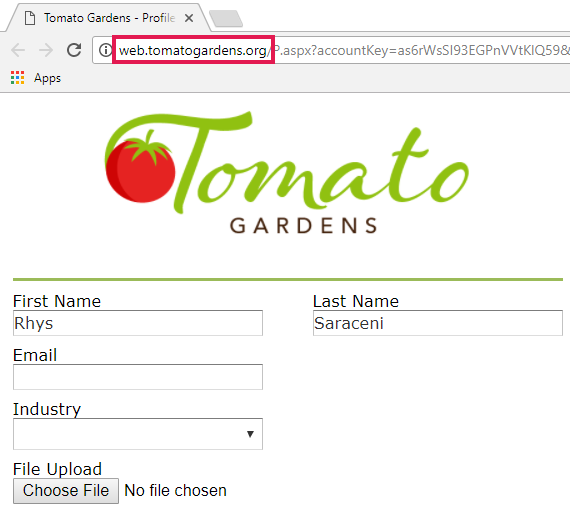 highlight_web_content_cname.png
