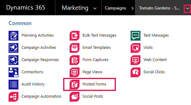 campaign_related_records.png